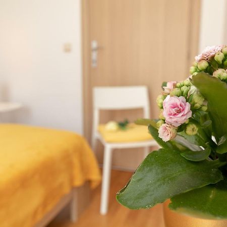 Apartment Nik - Cosy And Stylish Дубровник Екстер'єр фото